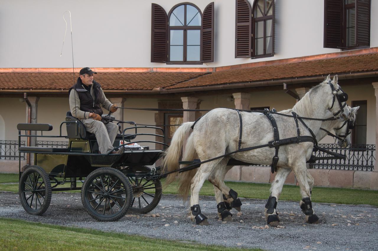 Baraolt Castle Hotel Daniel מראה חיצוני תמונה